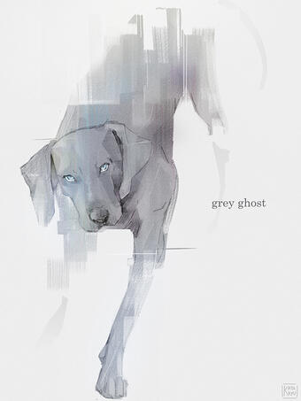 Grey Ghost | 2020